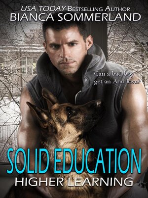 cover image of Solid Education